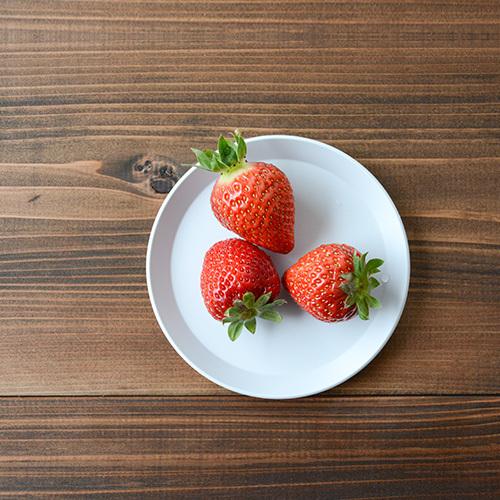 1616 / arita japan 有田焼 1616 / arita japan TY ラウンドプレート