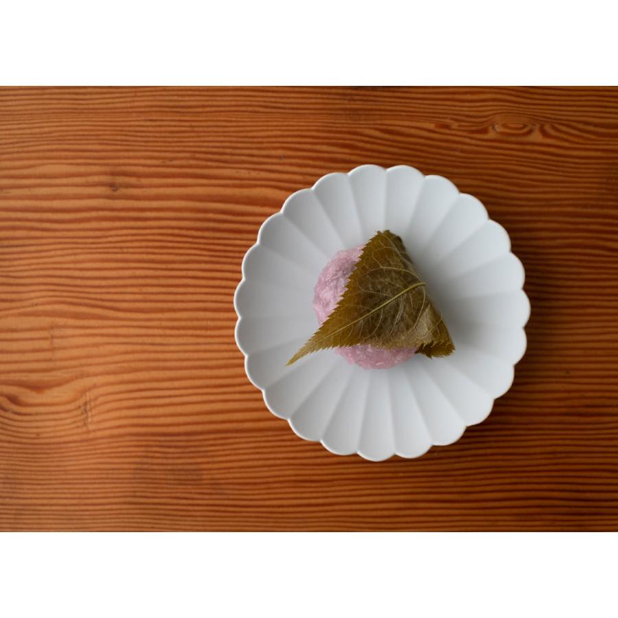 1616 / arita japan 有田焼 1616 / arita japan TY パレスプレート