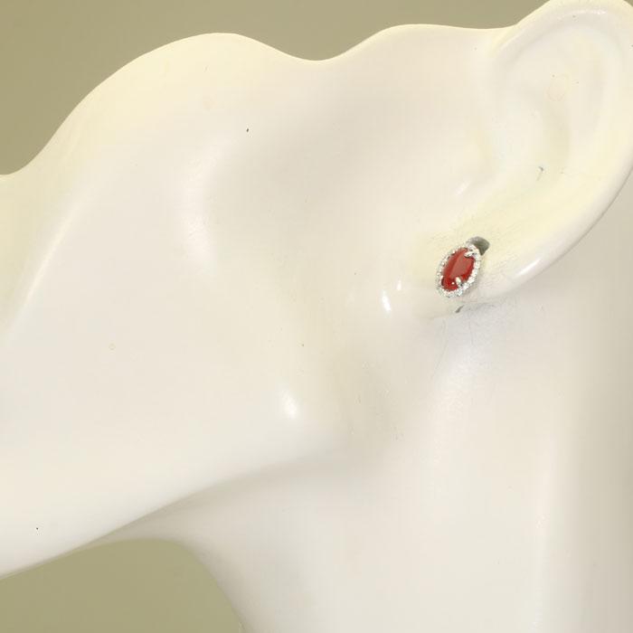 血赤珊瑚 ピアス Pt900 プラチナ 高知 無染色 SANSUIの画像