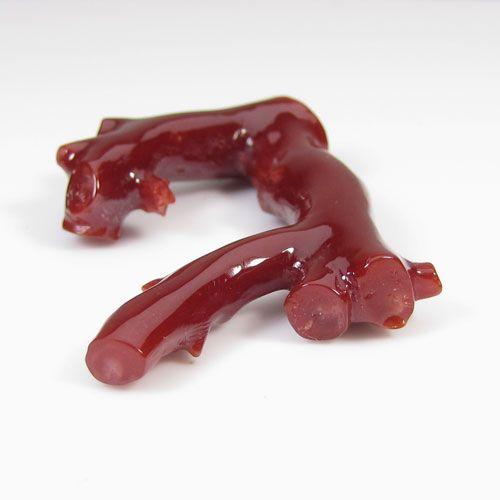 血赤珊瑚 枝 ルース 無染色 SANSUIの画像
