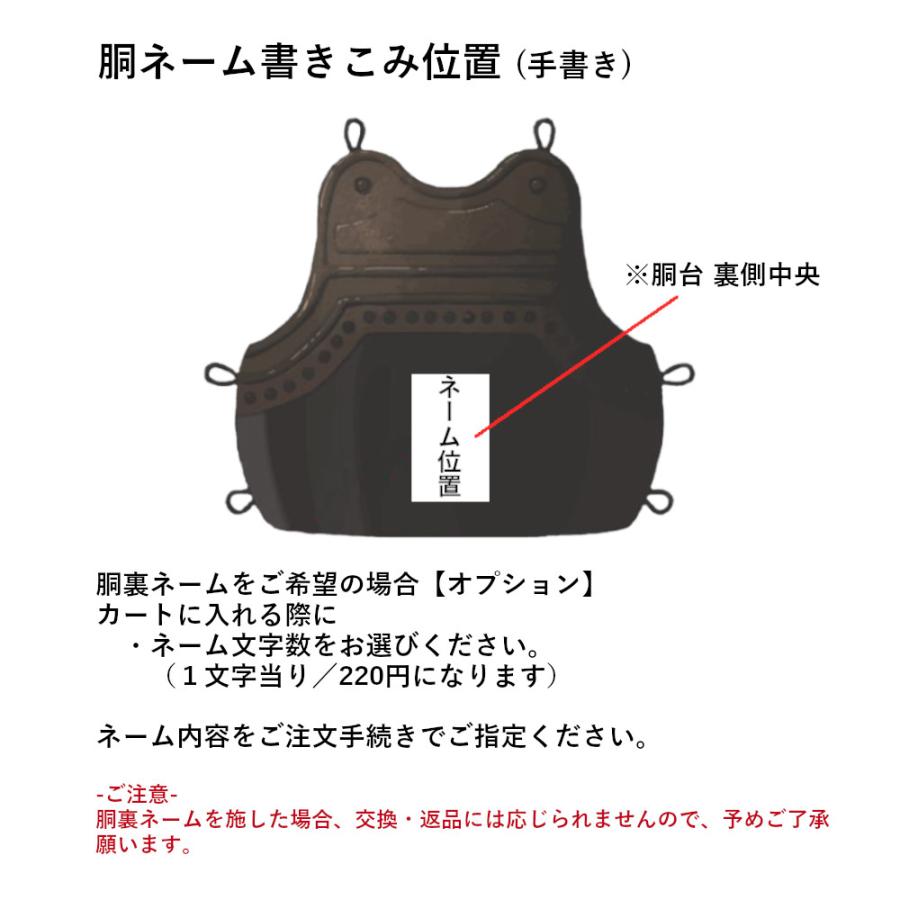剣道胴 剣道防具 胴 日武 幼年用 胴単品 小胸付胸・1本足（適応身長