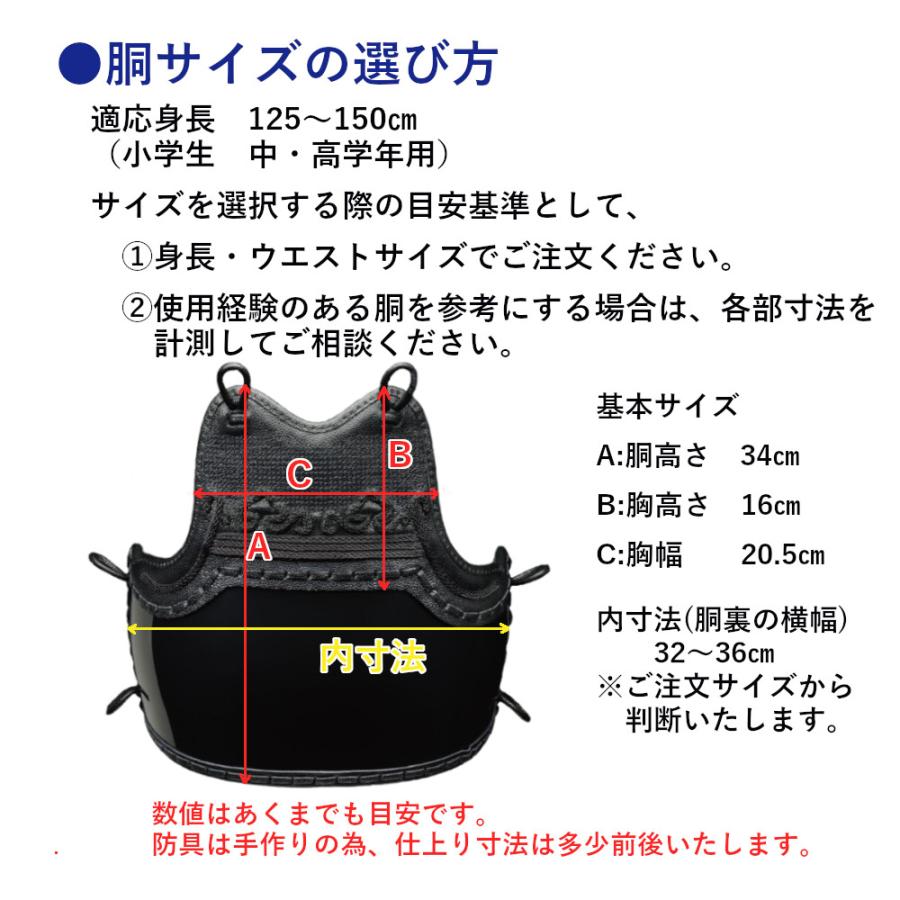 剣道胴 剣道防具 小学生用 胴 日武 黒樹脂胴 胸4種(適応身長 剣道胴 剣道防具 小学生用 胴 日武 黒樹脂胴 胸4種(適応身長