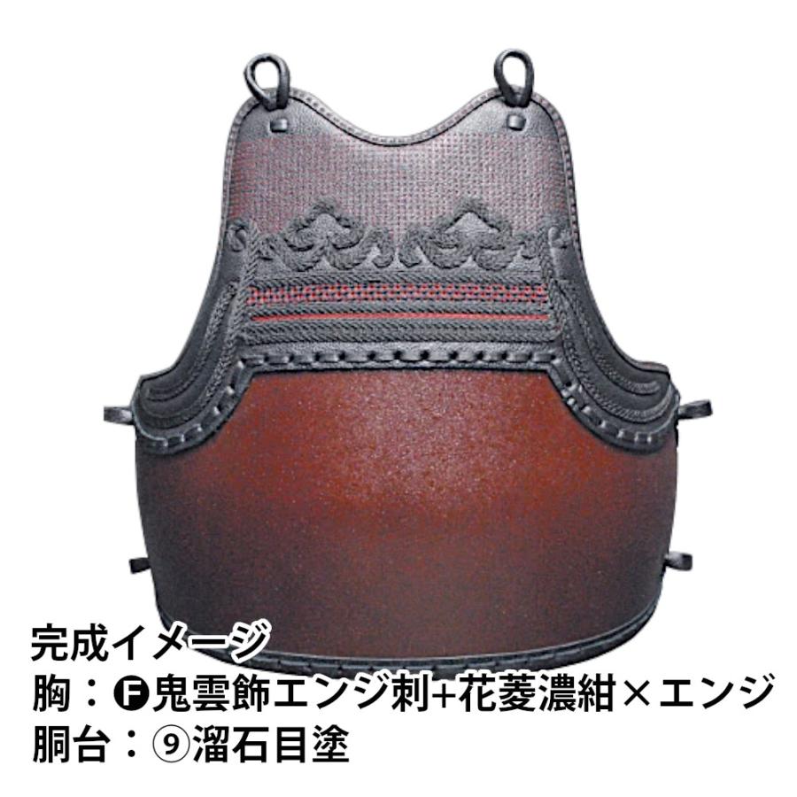 剣道胴 剣道防具 胴 日武 セミオーダー変わり塗胴（樹脂胴） : KENDO