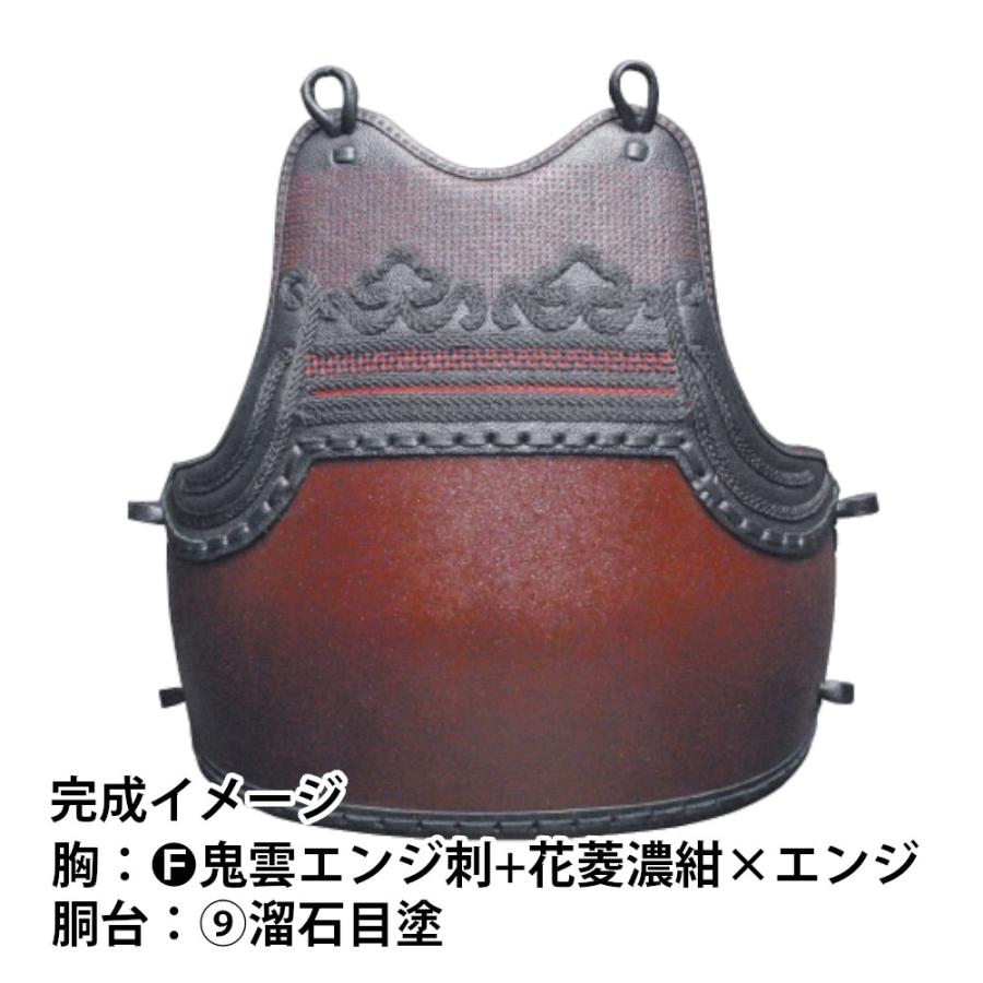 剣道胴 剣道防具 胴 日武 セミオーダー変わり塗胴（50本型樹脂胴