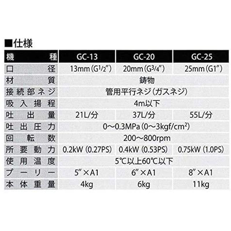 日本最大級 工進(KOSHIN) ギヤーポンプ GC25:【国内配送】 -www.tshield.com.br