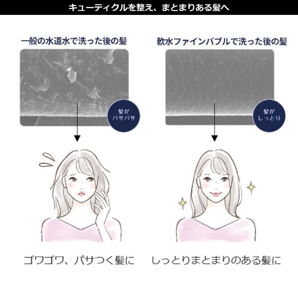 ハウステック 公式 美肌 保湿 敏感肌 BAQ-S1202FB シャワー用軟水器