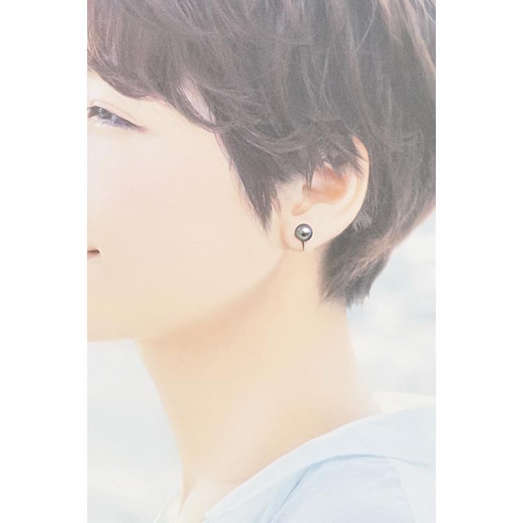 TASAKI（タサキ） 田崎真珠 アコヤパール ネックレス イヤリング 2点