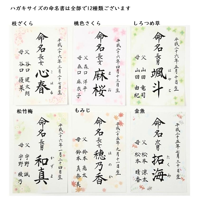 命名書 毛筆手書き アクリルフレーム命名書 ハガキサイズ 和風水玉 命名書 毛筆手書き アクリルフレーム命名書 ハガキサイズ 和風水玉