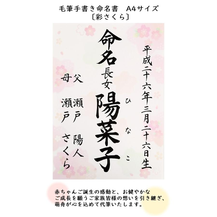 命名書 命名紙 毛筆手書き 彩さくら柄 代書無料 桜 春 A4サイズ 出産祝い ベビーギフト :mei-ayasakura:萌舟 通販 手書きオーダー命名書 ピンク