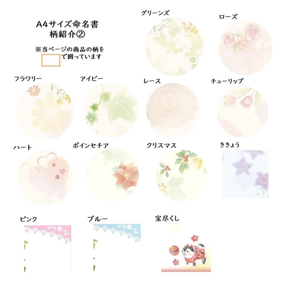 命名書 命名紙 毛筆手書き 菜の花柄 代書無料 サイズ 出産祝い ベビーギフト Mei Nanohana 萌舟 通販 Yahoo ショッピング