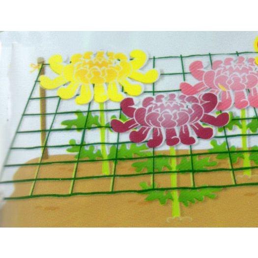 シンセイ 花ささえネット 幅1m×長さ10m 網目12cm角