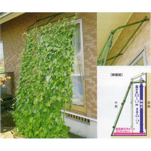 第一ビニール 緑のカーテン アーチde立掛けワイド1800 幅