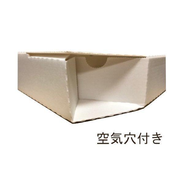 超人気 専門店 ピザ箱 ８インチ 白無地 ｓｐ １ ３００枚入 Discoversvg Com