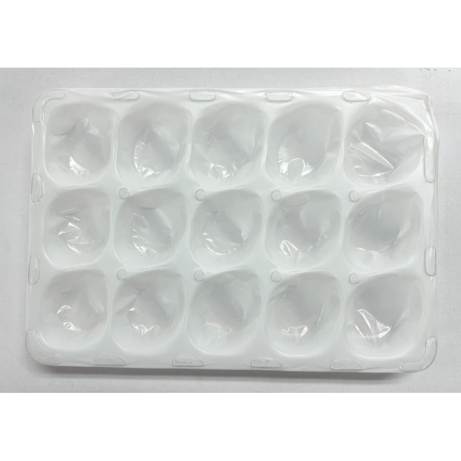 法人名・屋号必須】大石産業 いちご販売用容器 ゆりかーごEタイプ 15玉