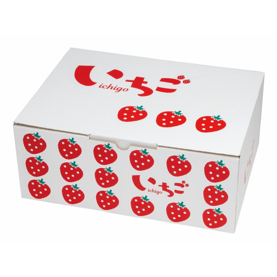 ヤマニパッケージ イラストいちご平詰め300g4P 2段BOX(50入) L-2503