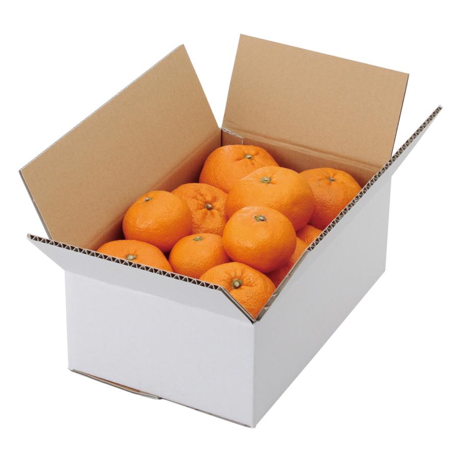 ヤマニパッケージ　A式みかん白無地3kg(80入)　L-2231