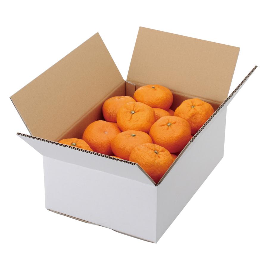 ヤマニパッケージ A式みかん白無地5kg(60入) L-2232