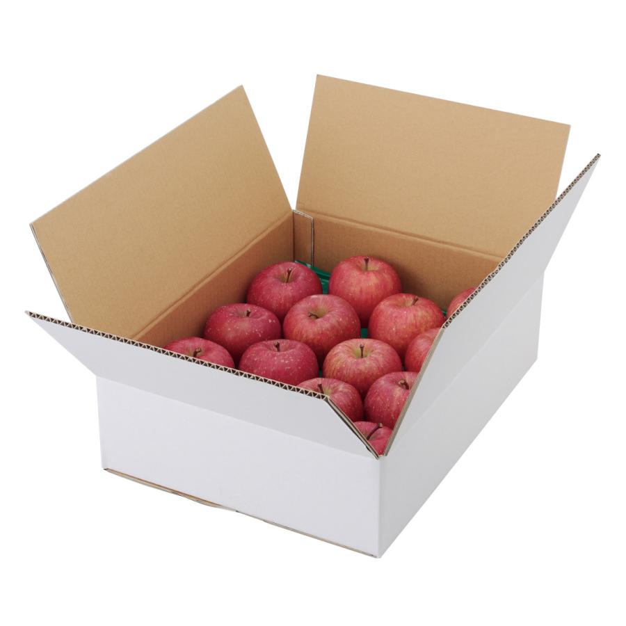 ヤマニパッケージ　A式りんご白無地5kg(40入)　L-2234