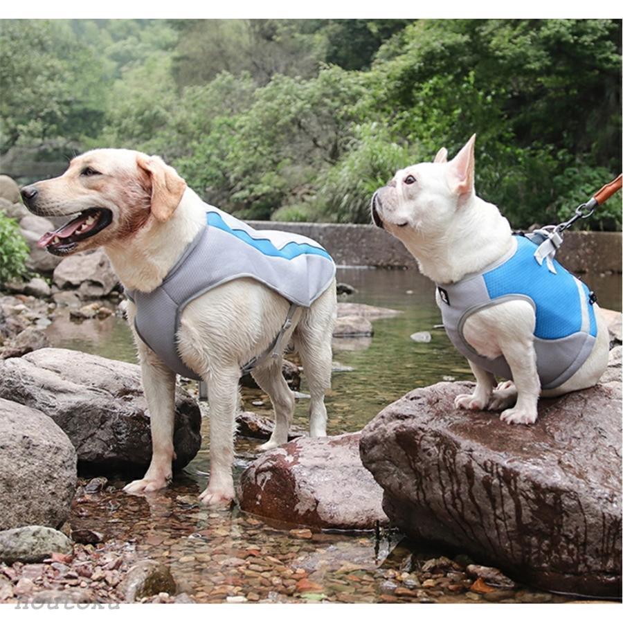 楽天市場】超大型犬 クールの通販 XL 夏服 サマー クール ドッグガード