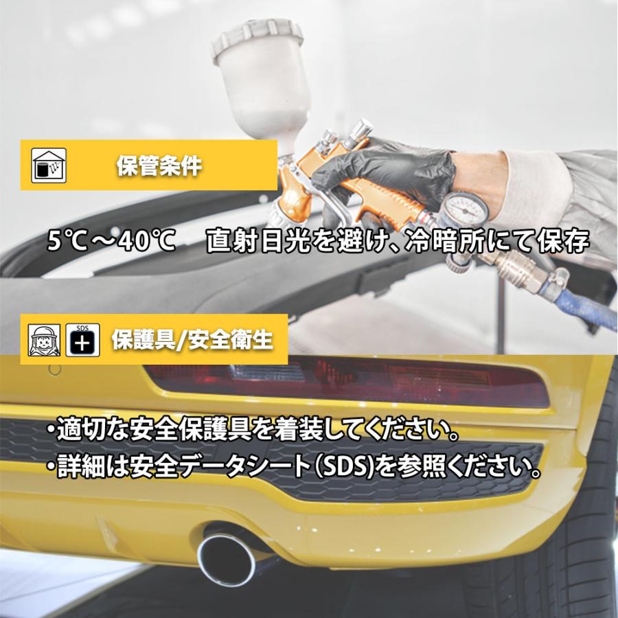 エコロック ハイパークリヤーH プラスチック仕様 1kgセット/ロック