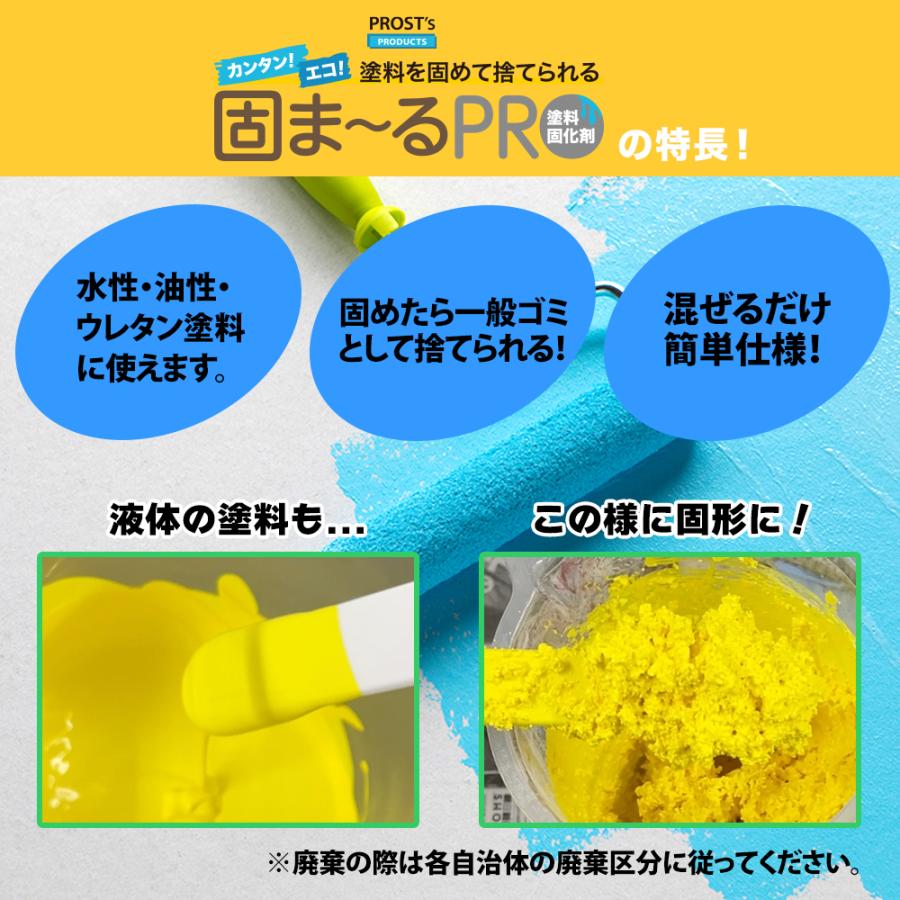 PROST’s 塗料固化剤 固まーるPRO 1kg｜houtoku｜03