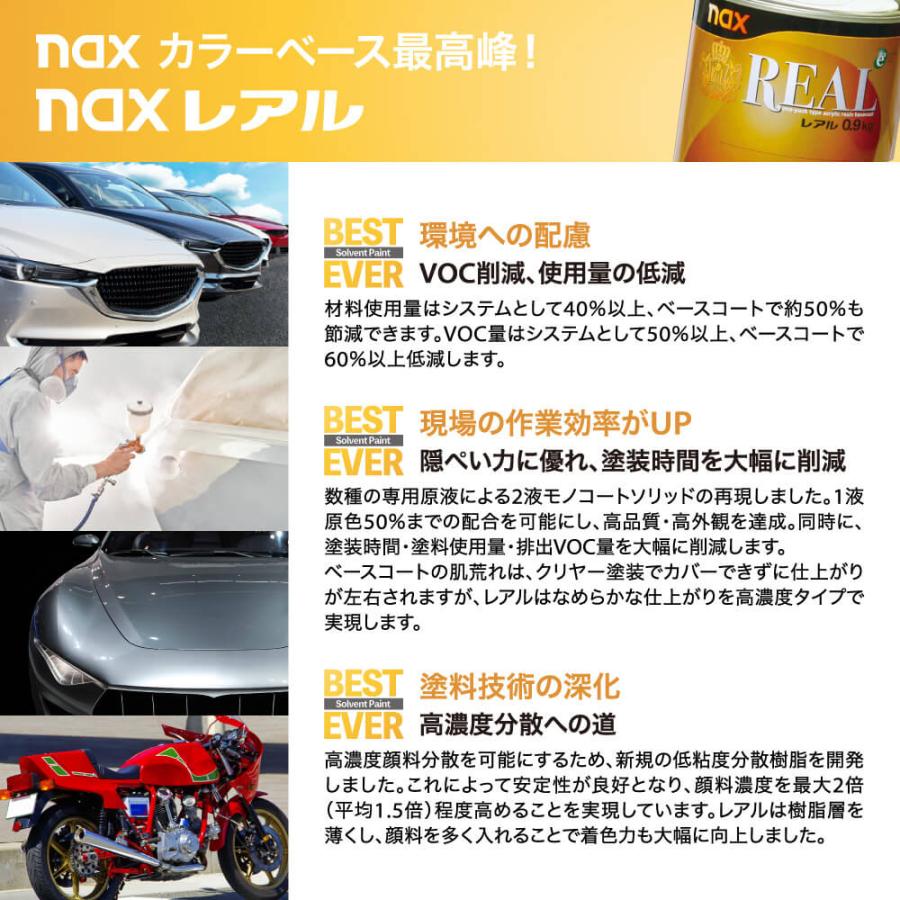 naxスタビR NEO 1kg/小分け 日本ペイント レアル 塗料 : PROST株式会社