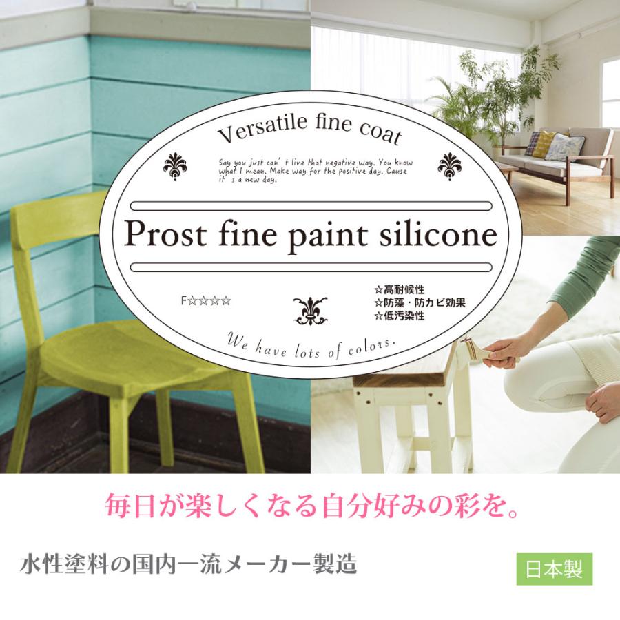 ペンキ 多目的用 水性塗料 つや消し ファインペイントシリコン N ペンキ 多目的用 水性塗料 つや消し ファインペイントシリコン N
