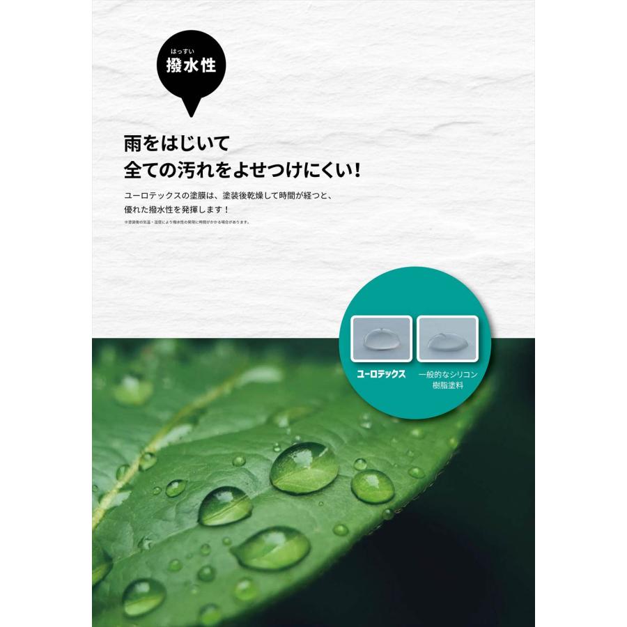 ユーロテックス 濃色 15kg【メーカー直送便/代引不可】水谷 ユーロテックス 濃色 15kg【メーカー直送便/代引不可】水谷