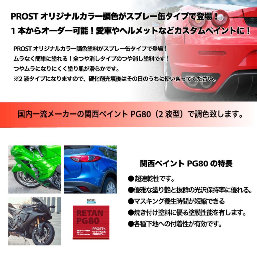 PROST's 2液型スプレー オリジナル調色 つや消し マットブラック 300ml