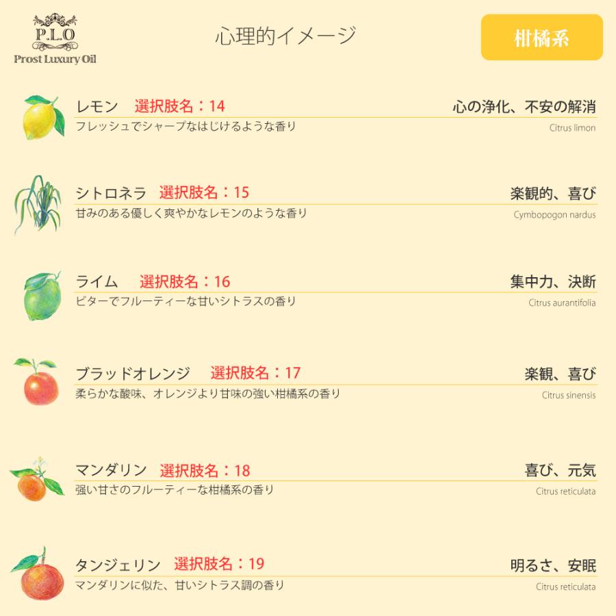 プロのパフューマーが使用する米国輸入エッセンシャルオイル多種類セット プロのパフューマーが使用する米国輸入エッセンシャルオイル多