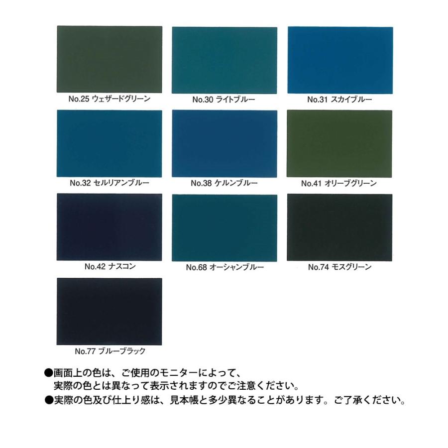 バイオマスR-Si 艶消し 15kgセット【メーカー直送便/代引不可 バイオマスR-Si 艶消し 15kgセット【メーカー直送便/代引不可