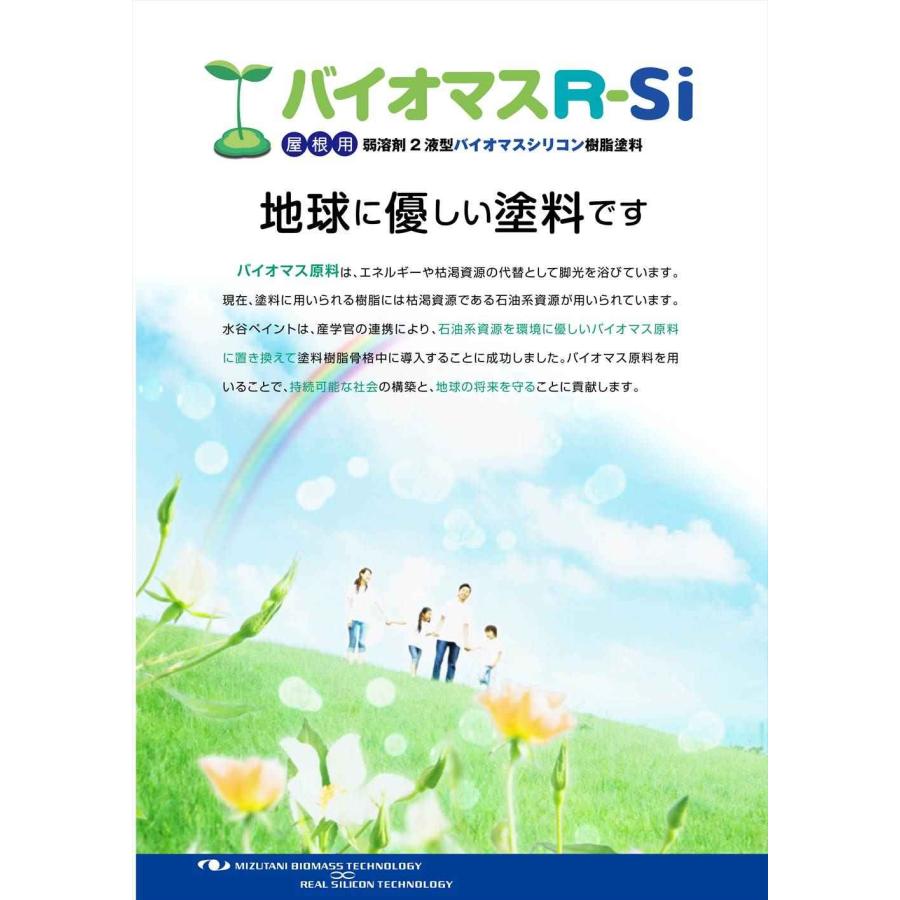 バイオマスR-Si 艶消し 15kgセット【メーカー直送便/代引不可 バイオマスR-Si 艶消し 15kgセット【メーカー直送便/代引不可