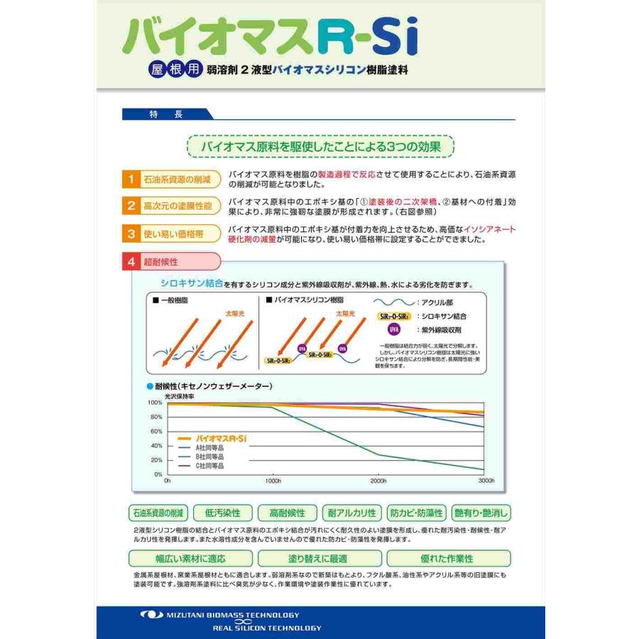 バイオマスR-Si 艶消し 15kgセット【メーカー直送便/代引不可 バイオマスR-Si 艶消し 15kgセット【メーカー直送便/代引不可