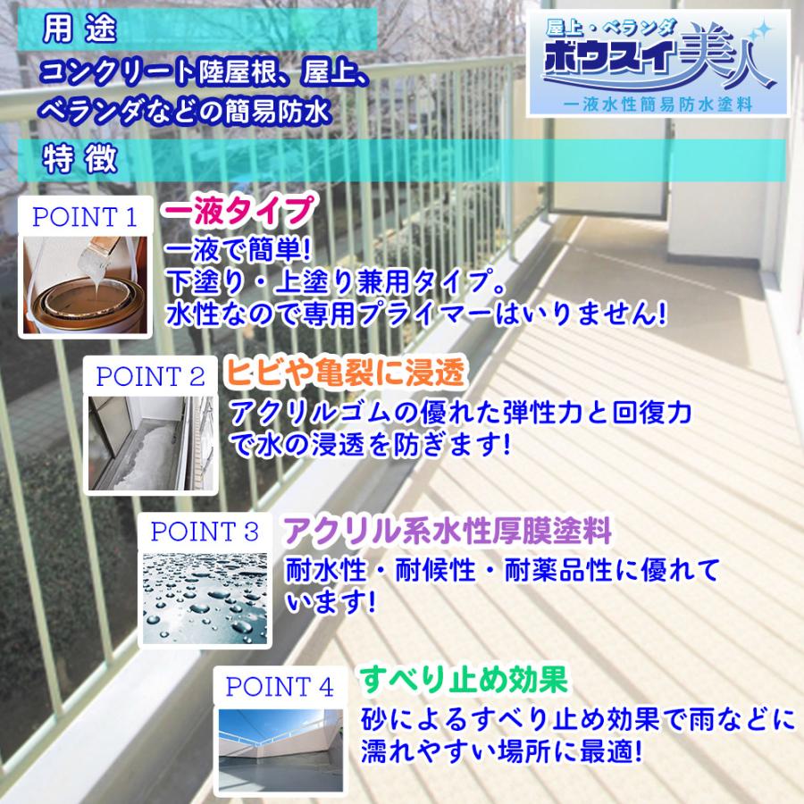 防水 塗料 一液 水性 簡易 / 屋上・ベランダ ボウスイ美人 1kg : PROST