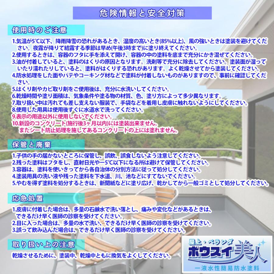 防水 塗料 一液 水性 簡易 / 屋上・ベランダ ボウスイ美人 500g