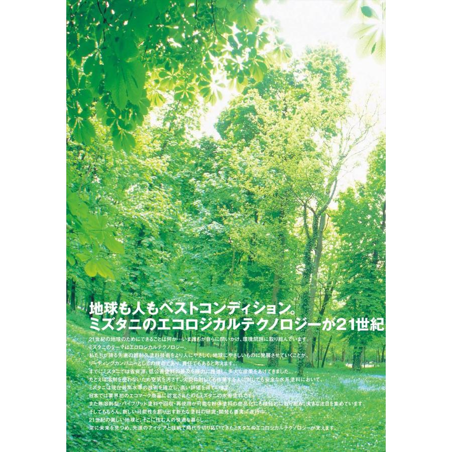 水系シリコン 銀黒系 15kg【メーカー直送便/代引不可】水谷 水系シリコン 銀黒系 15kg【メーカー直送便/代引不可】水谷