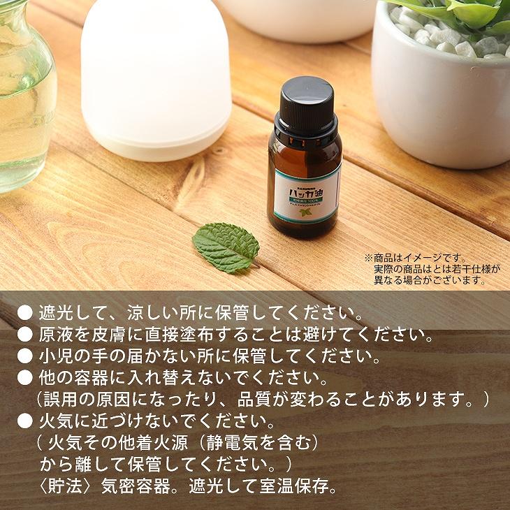 NEW！P.L.O ハッカ油 [食品添加物規格] 10ml+10mlスプレーボトル付 高級和種薄荷 遮光瓶入り｜houtoku｜05