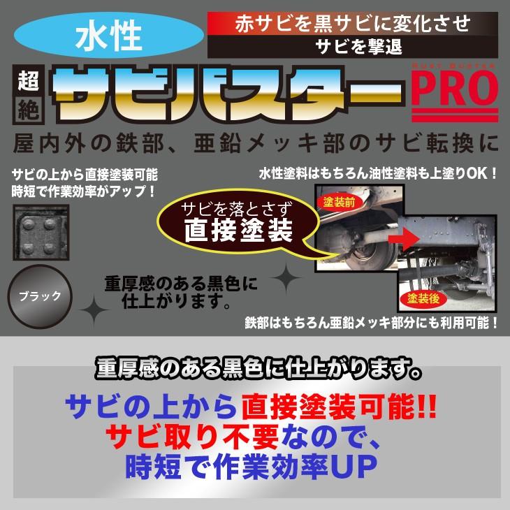国産 水性 錆転換塗料 ブラック 超絶さびバスターPro 200g/水性塗料 サビ止め 1液 サビ転換 錆転換 ホールド 錆止め|PROST株式会社|01