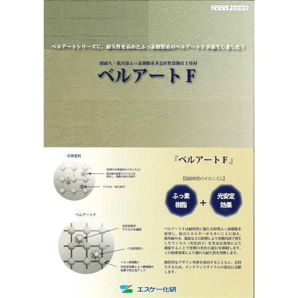 送料無料 ベルアート F 20kg 標準色 メーカー直送便 代引不可 エスケー化研 フッ素 フッソ 砂壁 リシン ジョリパッド 外装 塗料 Prost株式会社 通販 Paypayモール