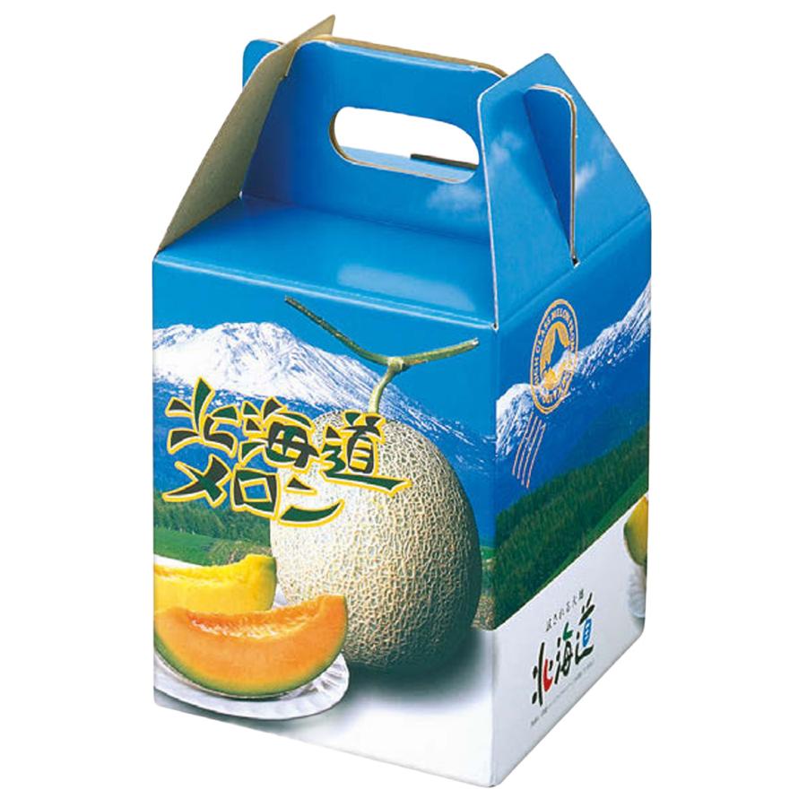 北海道メロン　大箱　1 メロン箱 北海道メロンD1 1ヶ入 165×165×295mm 1ケース100枚入 オリカ