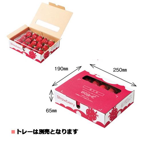 イチゴケースゆりかーごA 1段用 260×200×70mm 1ケース100枚入 大石産業 