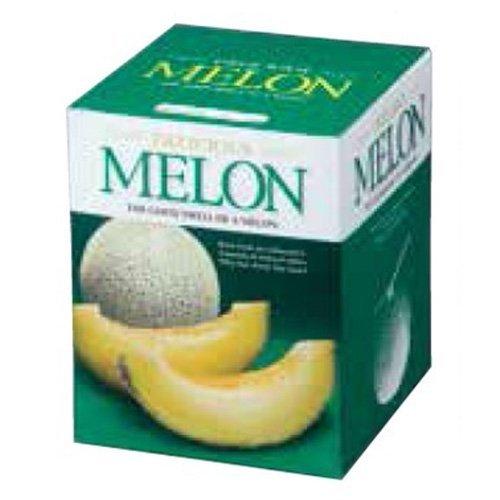 ヤマニパッケージ メロン箱 L-2111 デリシャスメロン 1ヶ入 150×150