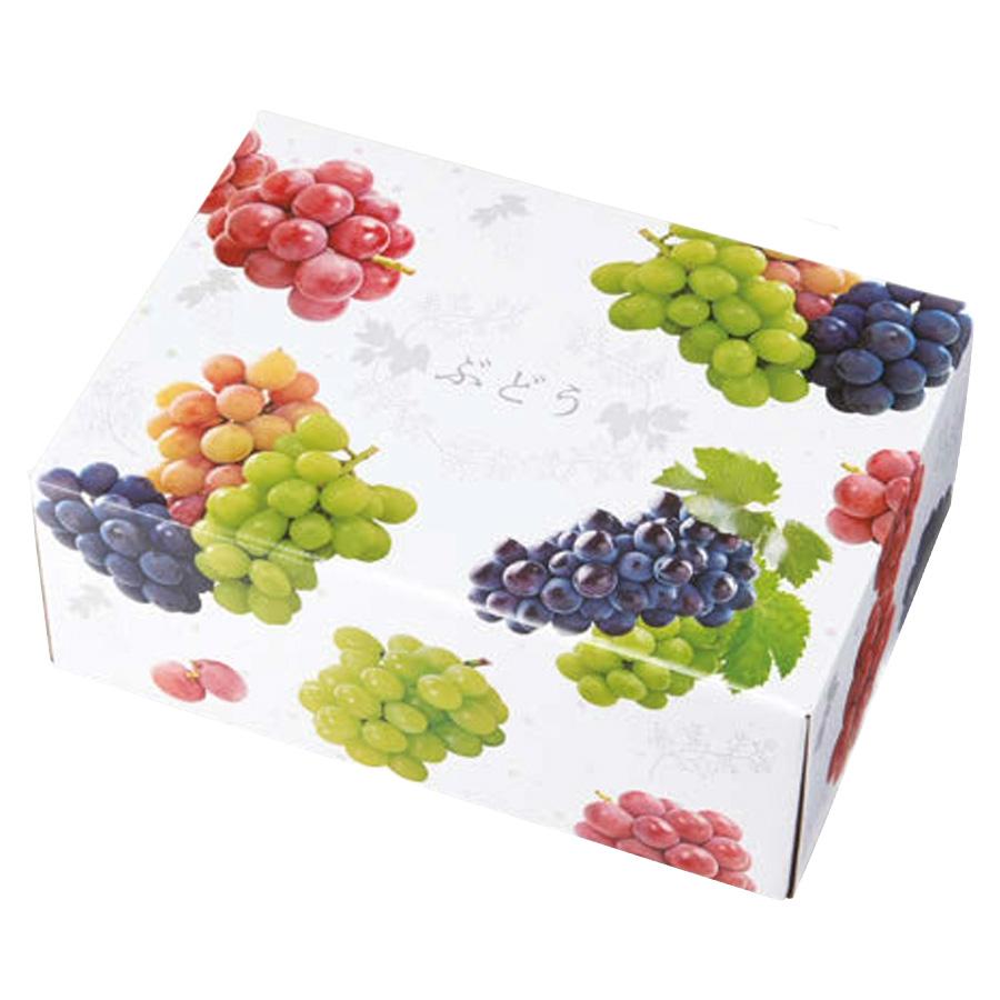 ぶどう箱 3色ブドウC式 2kg 325×225×135mm 1ケース40セット入 オリカ