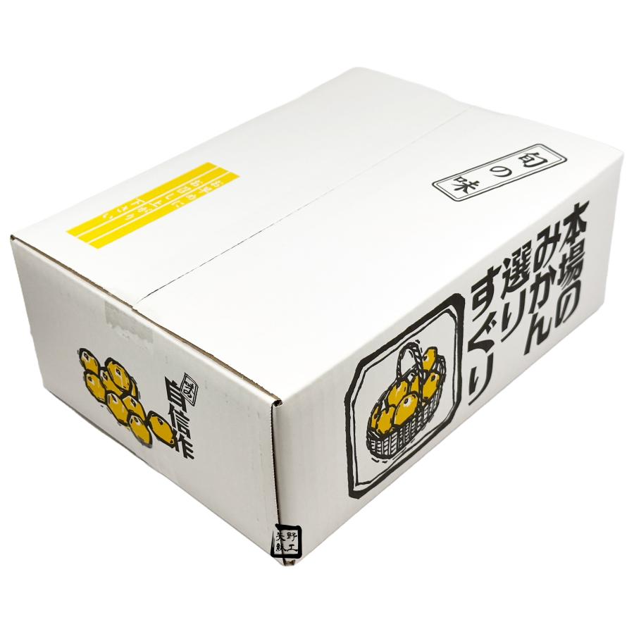 みかん　箱あり 信和 みかんの箱 特選みかん #50 5kg用 365×260×136mm 1ケース50枚入