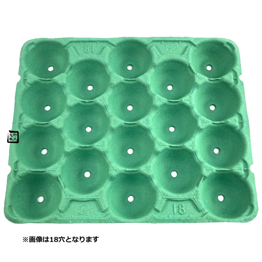 モウルドトレイ 031068 りんご5K用 18H 緑 430×360mm 1ケース80枚入