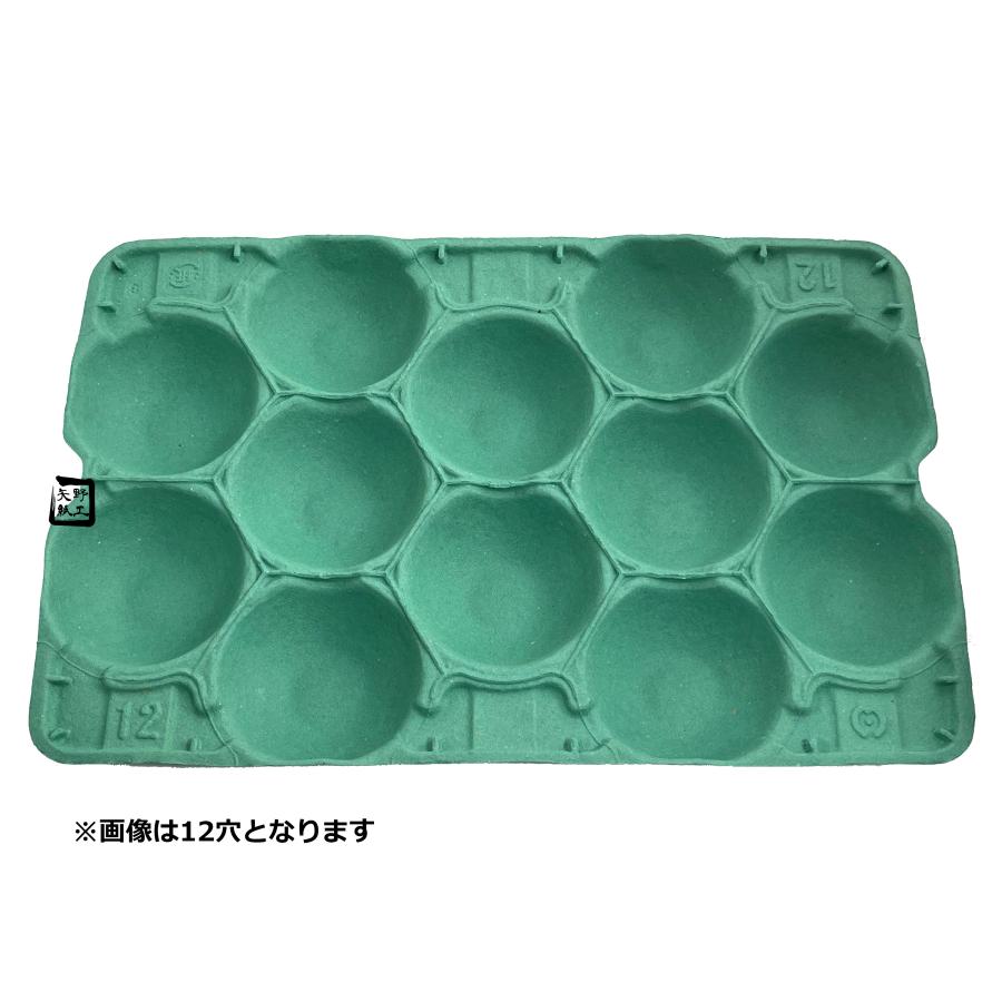 モウルドトレイ 033085 梨 5K用 5H 緑 460×305mm 1ケース50枚入 日本