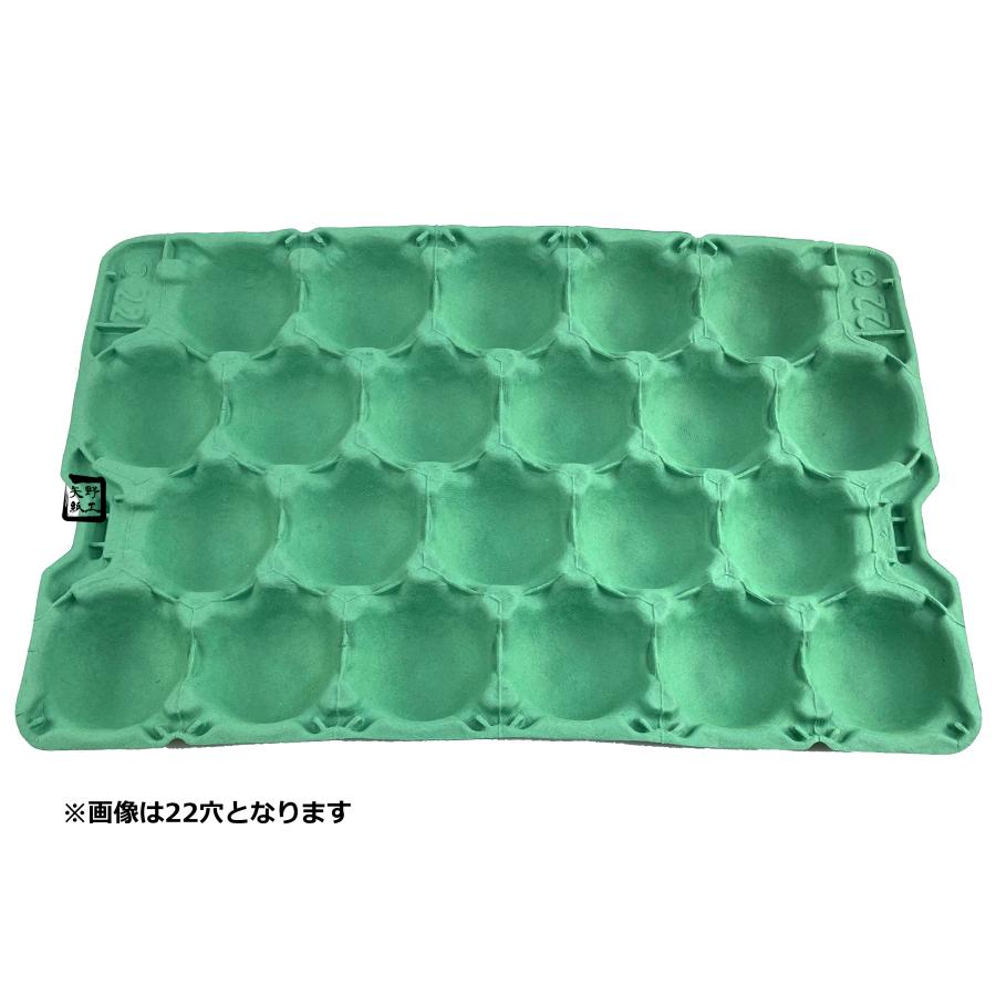 モウルドトレイ 033926 梨 コンテナトレイ 28H 緑 568×368mm 1ケース50