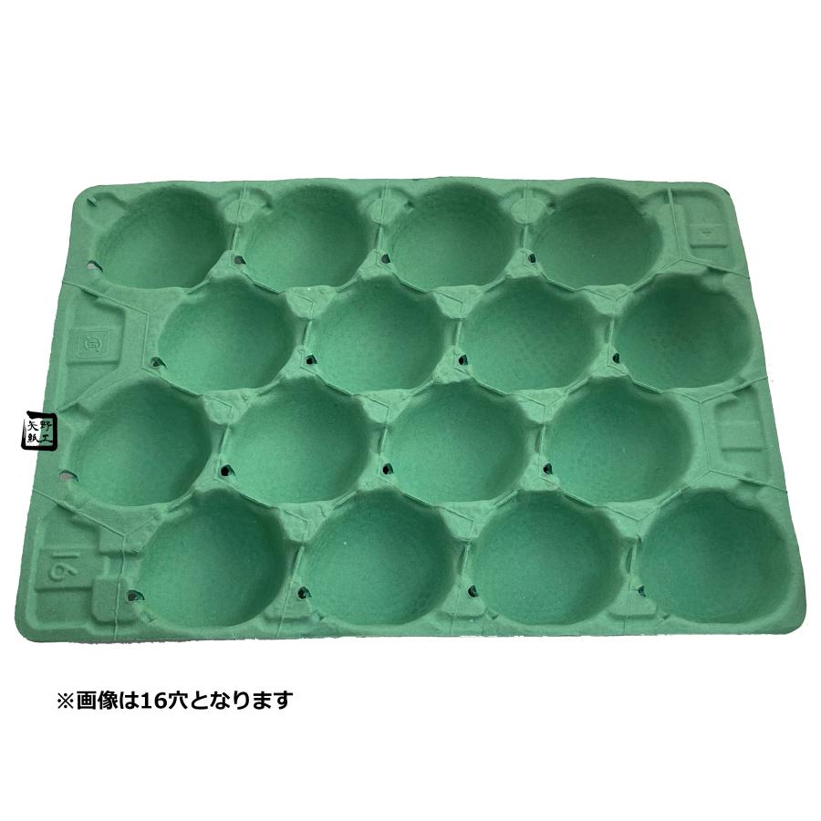モウルドトレイ 033616 西洋梨トレイ 16H 緑 480×336mm 1ケース50枚入
