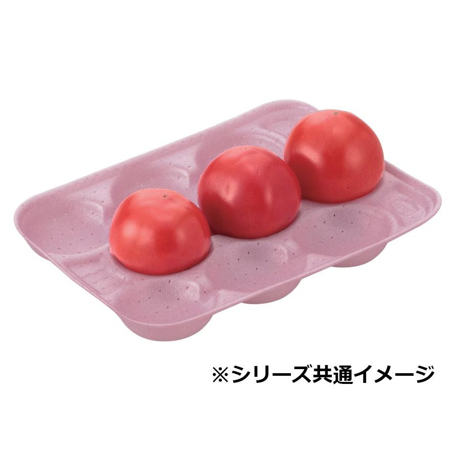 【とまとさま】ご確認用◆20cm【A】③ トマトパック 1.3kg用 20穴 245×190mm 1ケース600枚入 トマト用ホール