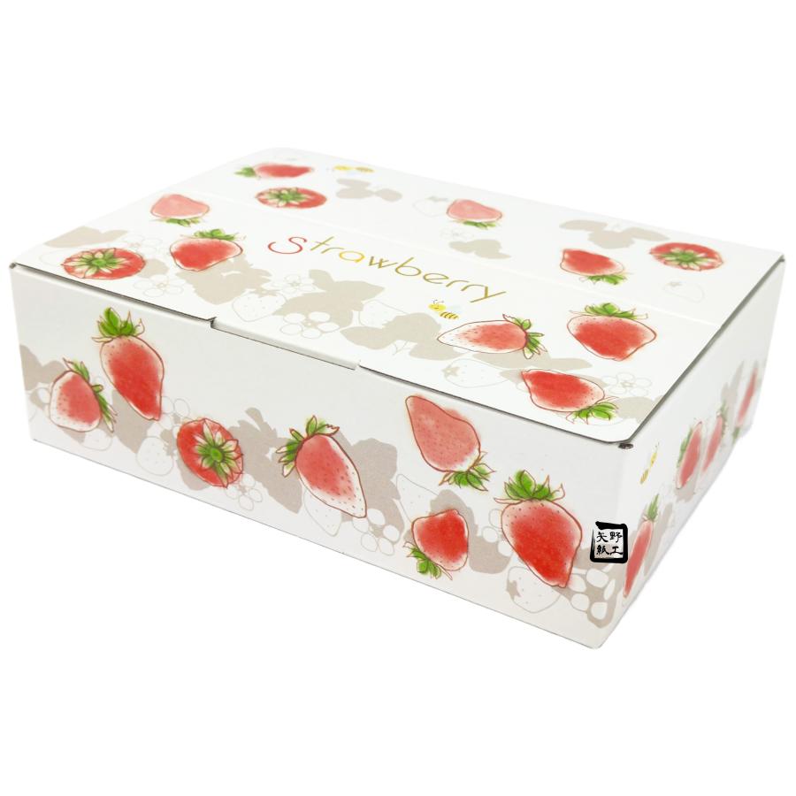 いちご箱 いちごの国から 240×175×75mm 1セット10枚入 AA5750 オリカ